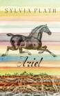 Ariel : Poems - eBook