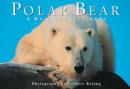 Polar Bear : A Book of Postcards - Book