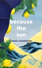 Because the Sun - Book