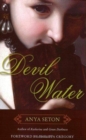 Devil Water - Book