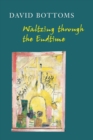 Waltzing Through the Endtime - Book