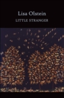 Little Stranger - Book