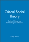 Critical Social Theory : Culture, History, and the Challenge of Difference - Book