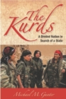 The Kurds : A Divided Nation in Search of a State - Book