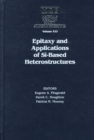 Epitaxy and Applications of Si-Based Heterostructures: Volume 533 - Book