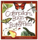 Caterpillars, Bugs and Butterflies - Book