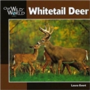 Whitetail Deer - Book