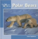 Polar Bears - Book