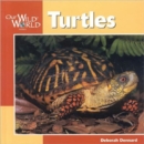 Turtles - Book