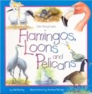 Flamingos, Loons & Pelicans - Book