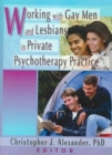 Working with Gay Men and Lesbians in Private Psychotherapy Practice - Book