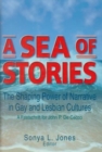 A Sea of Stories : The Shaping Power of Narrative in Gay and Lesbian Cultures: A Festschrift for John P. DeCecco - Book