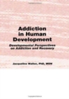 Addiction in Human Development : Developmental Perspectives on Addiction and Recovery - Book