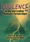 Violence in Gay and Lesbian Domestic Partnerships - Book