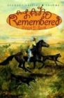 A Land Remembered - Book