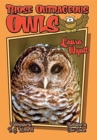 Those Outrageous Owls - Book