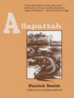Allapattah - eBook