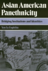 Asian American Panethnicity : Bridging Institutions and Identities - Book