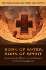 Born of Water, Born of Spirit : Supporting the Ministry of the Baptized in Small Congregations - eBook