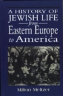 A History of Jewish Life from Eastern Europe to America - Book