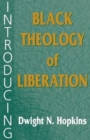 Introducing Black Theology of Liberation - Book