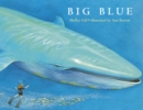 Big Blue - Book