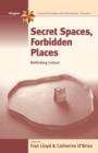 Secret Spaces, Forbidden Places : Rethinking Culture - Book