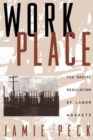 Work-Place : The Social Regulation of Labor Markets - Book