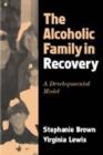 The Alcoholic Family in Recovery : A Developmental Model - Book