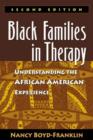 Black Families in Therapy, Second Edition : Understanding the African American Experience - Book
