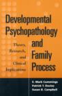 Developmental Psychopathology and Family Process : Theory, Research, and Clinical Implications - Book
