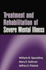 Treatment and Rehabilitation of Severe Mental Illness : A Comprehensive Approach - Book
