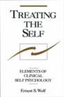 Treating the Self : Elements of Clinical Self Psychology - Book