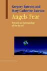 Angels Fear : Towards an Epistemology of the Sacred - Book