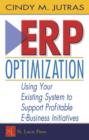 ERP Optimization : Using Your Existing System to Support Profitable E-Business Initiatives - Book