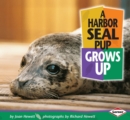 A Harbor Seal Pup Grows Up - eBook