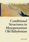 Conditional Structures in Mesopotamian Old Babylonian - Book