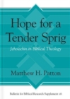 Hope for a Tender Sprig : Jehoiachin in Biblical Theology - Book