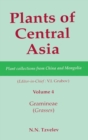 Plants of Central Asia - Plant Collection from China and Mongolia, Vol. 4 : Gramineae (Grasses) - Book
