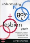 Understanding Gay and Lesbian Youth : Lessons for Straight School Teachers, Counselors, and Administrators - Book