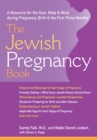 Jewish Pregnancy Book : A Resource for the Soul Body & Mind during Pregnancy Birth & the First Three Months - eBook