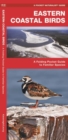 Eastern Coastal Birds : A Folding Pocket Guide to Familiar Species - Book