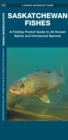 Saskatchewan Fishes - Book