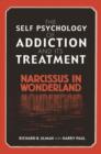 The Self Psychology of Addiction and its Treatment : Narcissus in Wonderland - Book