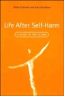 Life After Self-Harm : A Guide to the Future - Book