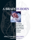 A Brain Is Born : Exploring the Birth and Development of the Central Nervous System - Book
