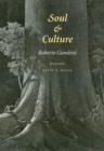 Soul and Culture - Book