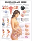 Pregnancy and Birth - Book