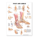 Foot and Ankle Anatomical Chart - Book