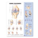 Knee Injuries Anatomical Chart - Book
